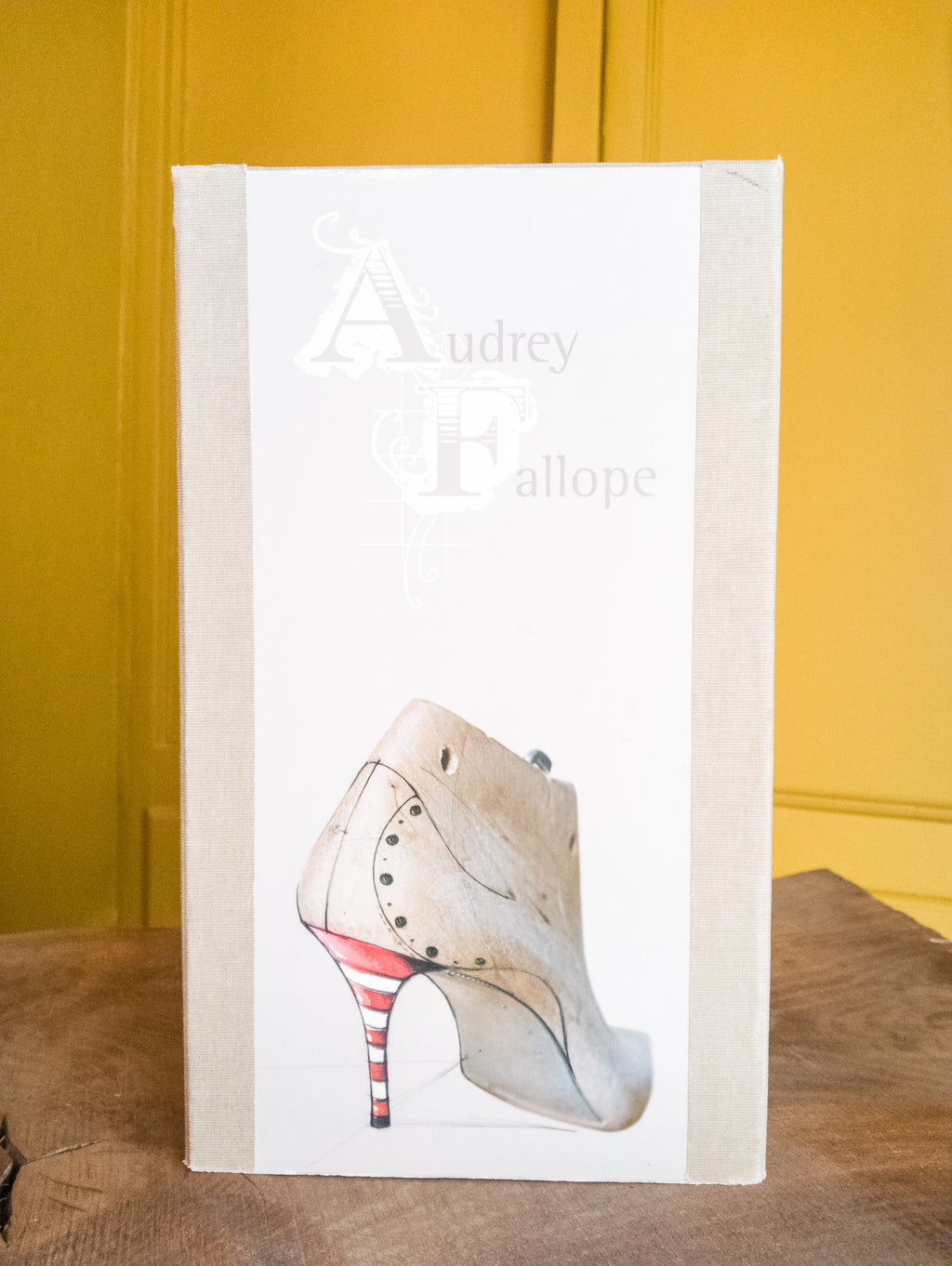 Chaussures en cuir Audrey Fallope