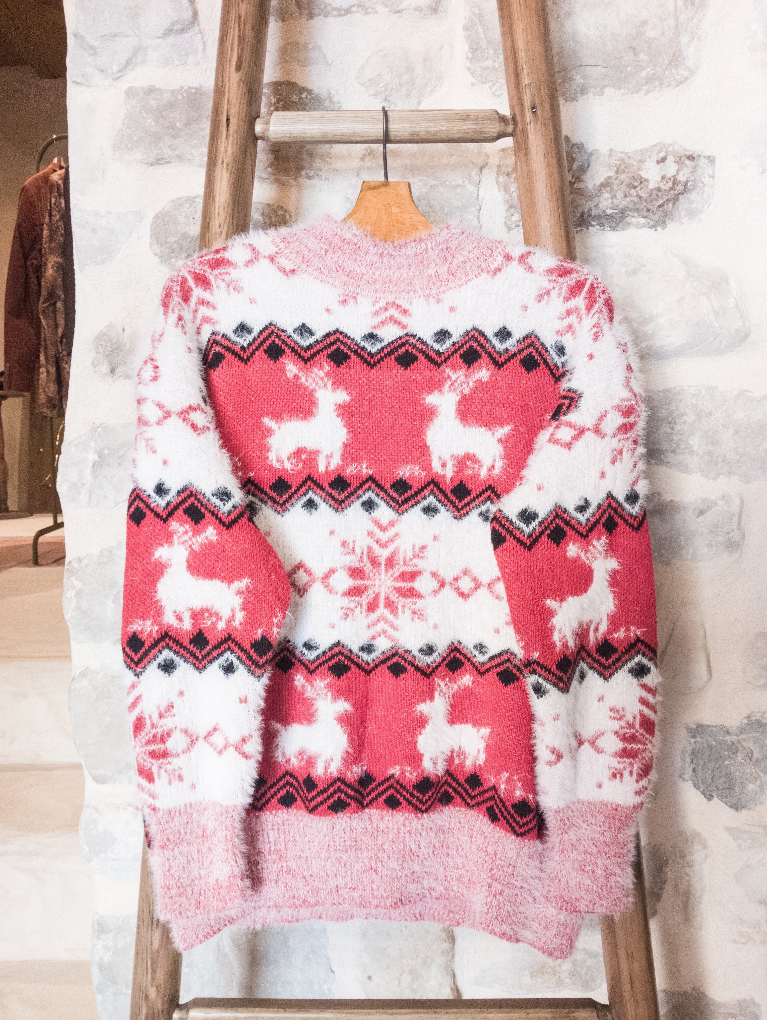 Pull de Noël ''Flocons et Cerfs''